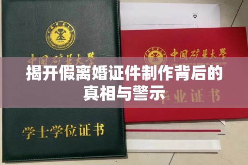 铁西揭开假离婚证件制作背后的真相与警示